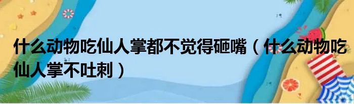 什么动物吃仙人掌都不觉得砸嘴(什么动物吃仙人掌不吐刺)
