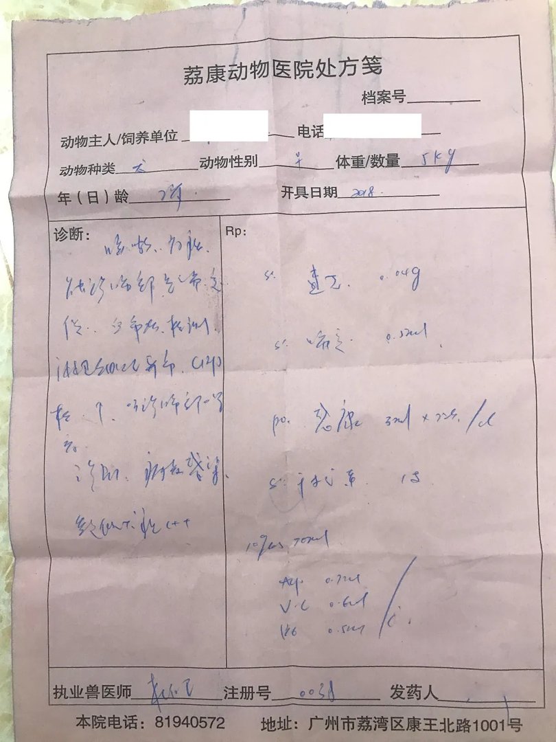 广州哪家宠物医院好