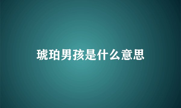 琥珀男孩是什么意思