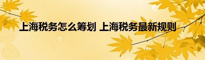 上海税务怎么筹划 上海税务最新规则