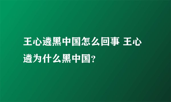王心遴黑中国怎么回事 王心遴为什么黑中国?
