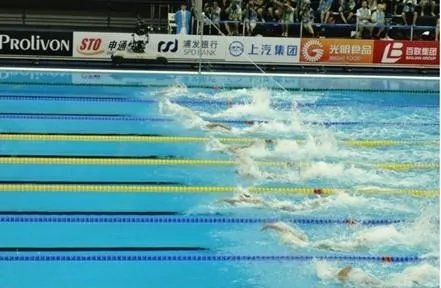 上海世界游泳锦标赛有哪几个项目?
