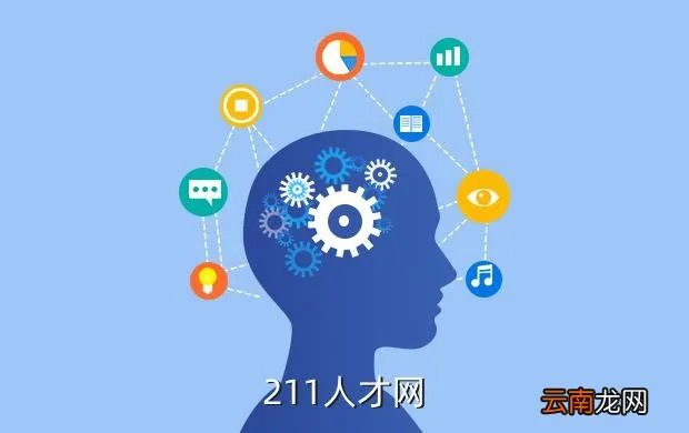 融安人才网，211人才网