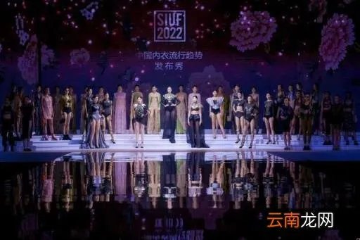 2017年深圳国际内衣展 第八届深圳国际内衣展( 二 )