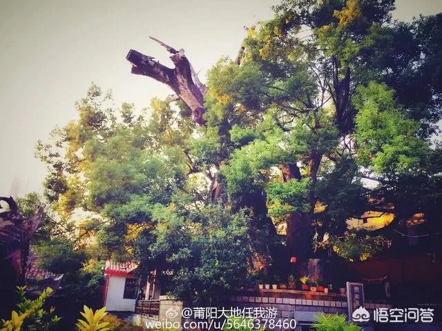 莆田东岩山公园好玩么?