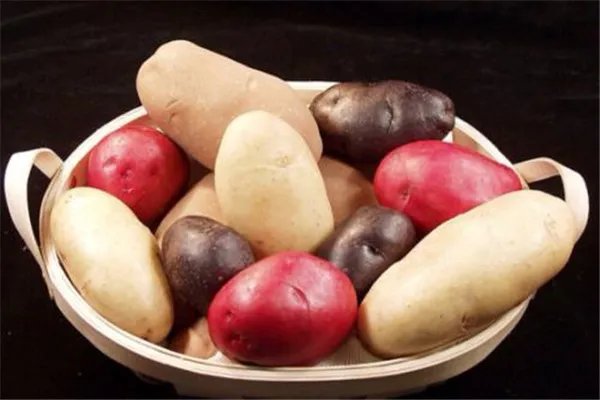 理性减肥，远离饱腹食物，为何医生都说别迷信饱腹感食物？