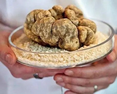 世界最贵食物:吃一嘴倾家荡产(图)