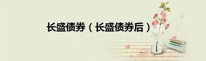 长盛债券（长盛债券后）
