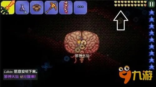 《泰拉瑞亚》丛林生命果作用是什么 丛林生命果攻略详解