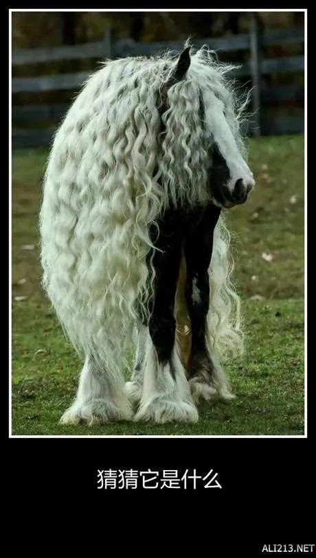 大湿你好!大湿我们不约!暴走漫画大合辑【548辑】