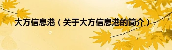 大方信息港（关于大方信息港的简介）