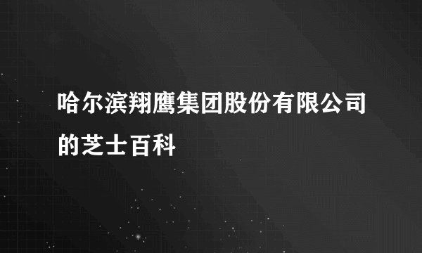 哈尔滨翔鹰集团股份有限公司的芝士百科