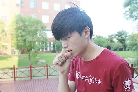 向天果的功效与作用