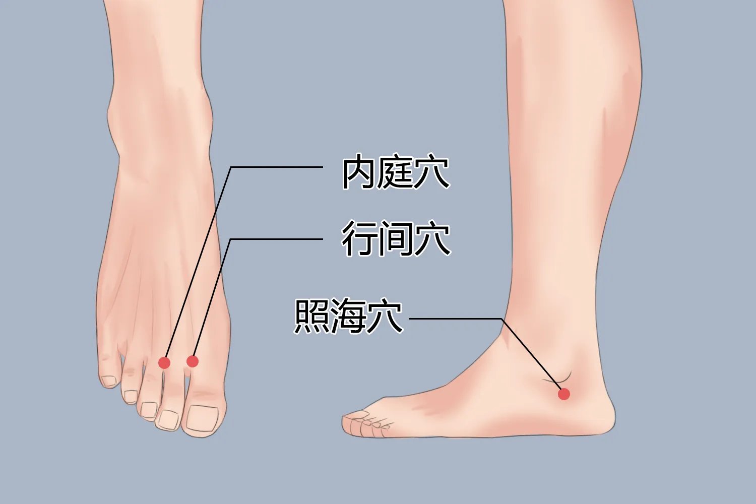 脸上长痘对应五脏示意图