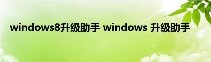 windows8升级助手 windows 升级助手