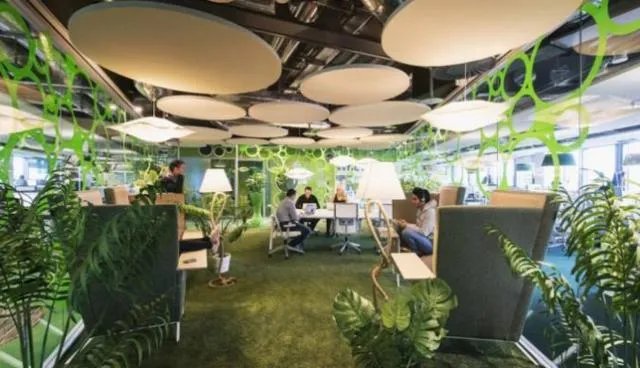 谷歌的工作环境到底怎么样？