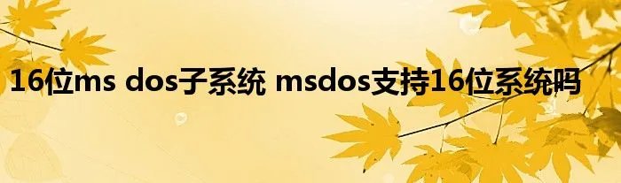 16位ms dos子系统 msdos支持16位系统吗