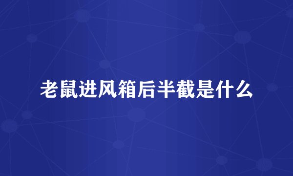 老鼠进风箱后半截是什么