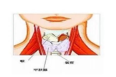 王楠癌症治疗方法?