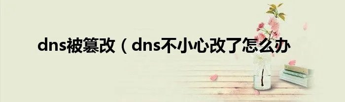 dns被篡改(dns不小心改了怎么办