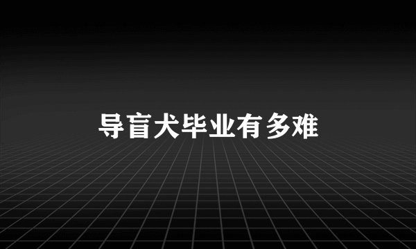 导盲犬毕业有多难