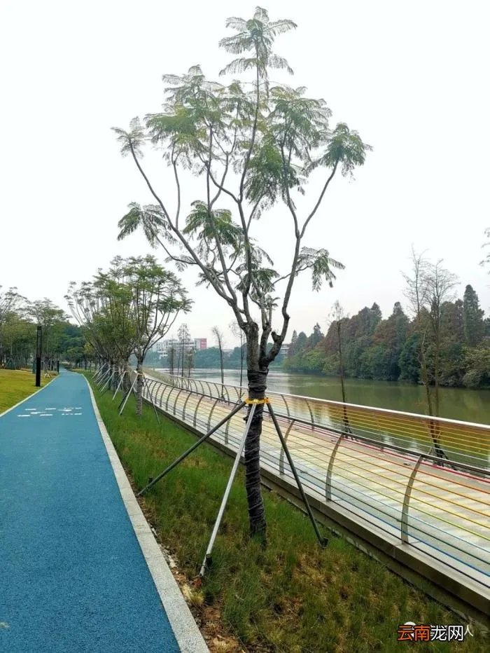 2022新年开篇 2022的新年发朋友圈说说简短