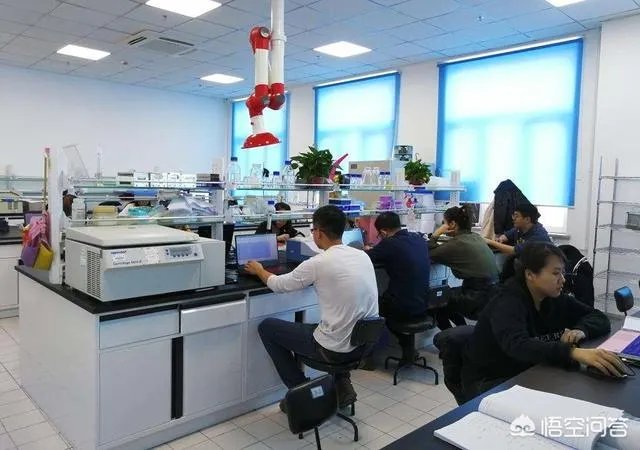 研究生学长在实验室打游戏,而且是从早打到晚那种,对自己影响非常大,该怎么办?