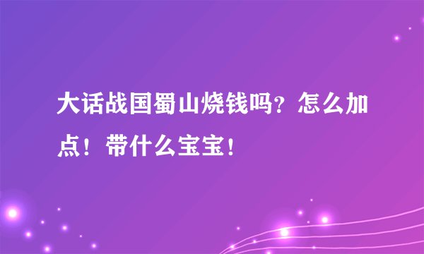 大话战国蜀山烧钱吗？怎么加点！带什么宝宝！