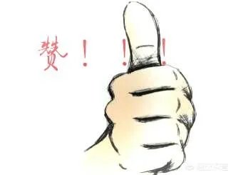 如何看待成都街头流浪小狗求助辅警，守候路边等他下班，最终被收养？