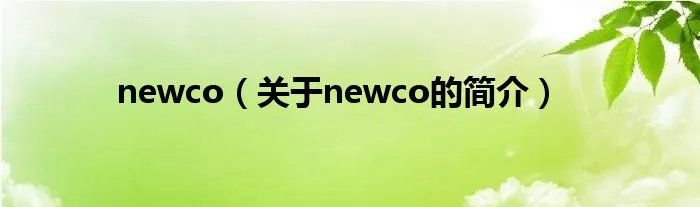 newco（关于newco的简介）