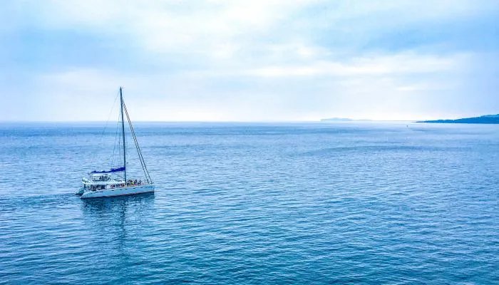 海洋生物资源最丰富的是哪个大洋