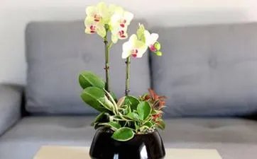 2022年9月入宅最旺日子老黄历 2022年9月宜入宅吉日查询