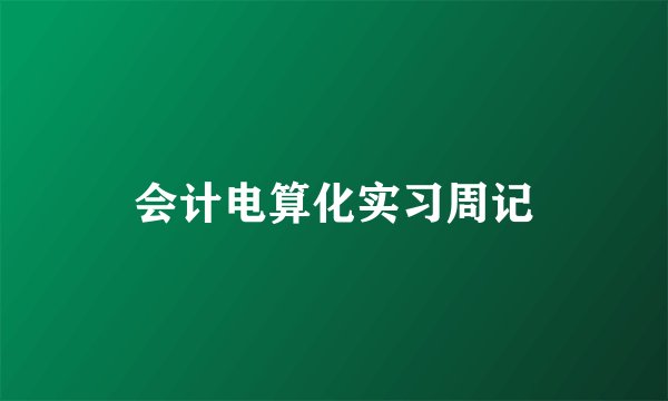 会计电算化实习周记