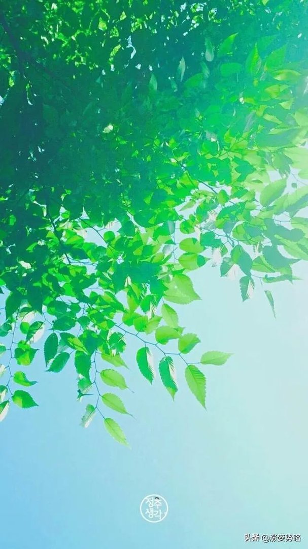 如何关爱医护人员