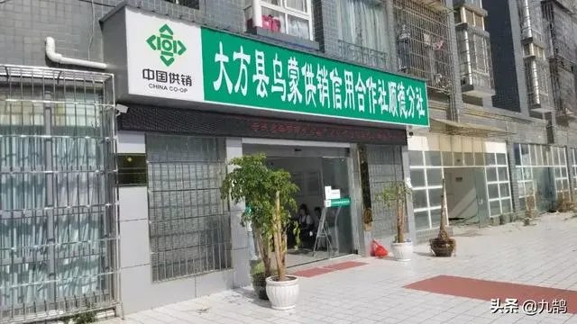 为什么贵州省大方县会拖欠教师工资4.7亿?