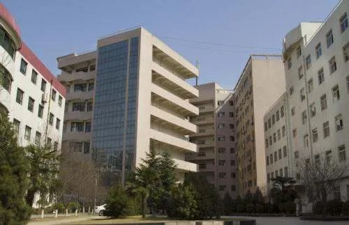 西北大学大专都有什么专业?