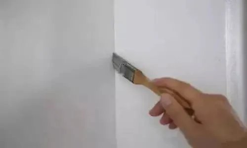 基膜是什么东西有什么作用