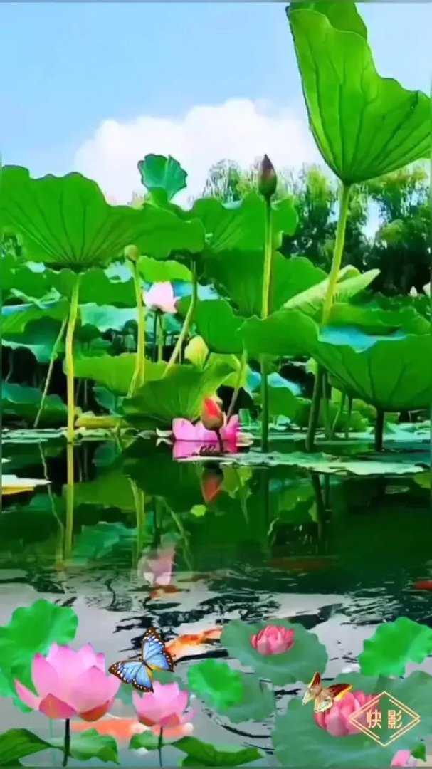 济宁太白路不久就要重修了,大家有什么好的建议给政府提出来?