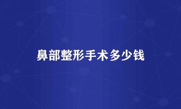 鼻部整形手术多少钱