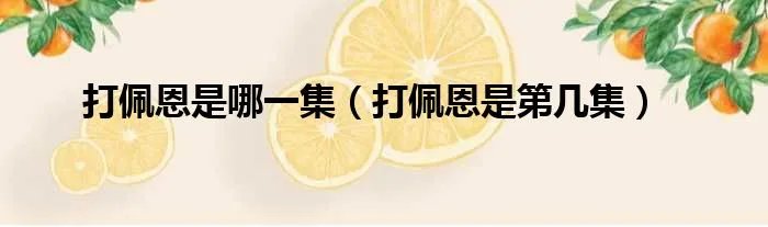 打佩恩是哪一集（打佩恩是第几集）