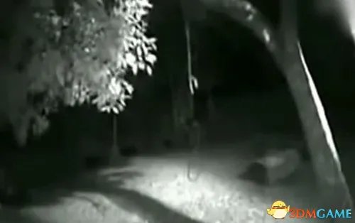 巴西小镇监控近日拍到狼人影像 当地已实施宵禁