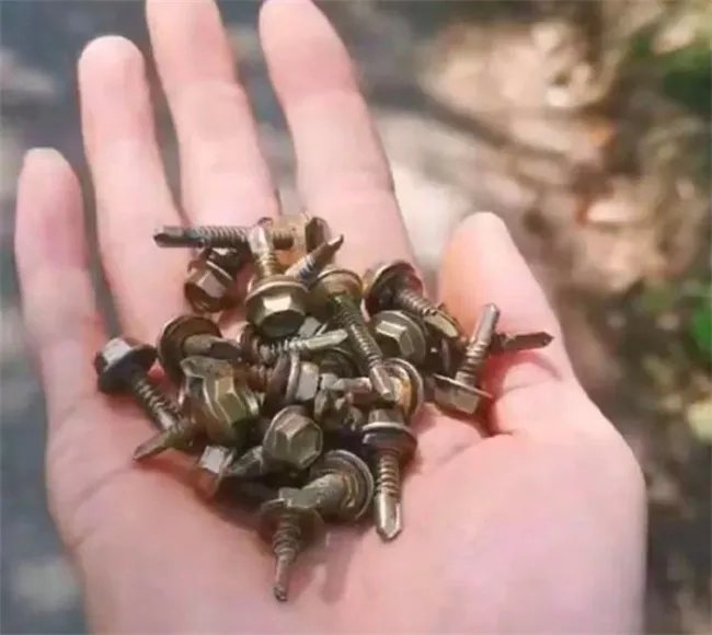 男子称在景区停车场捡26个螺丝钉 疑似汽车掉落