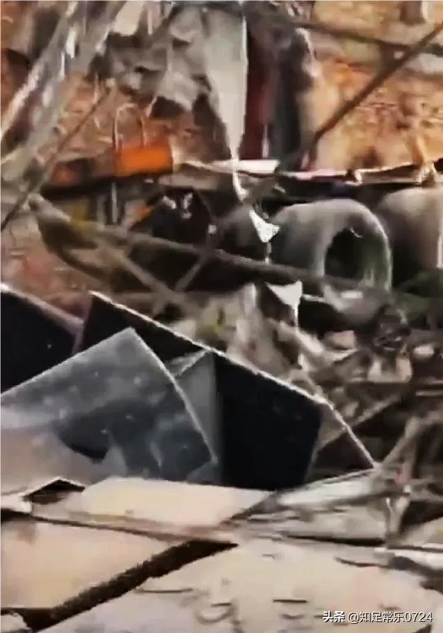 台州大溪高速公路口油罐车大爆炸，油罐车公司负法律责任吗？