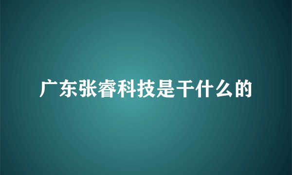 广东张睿科技是干什么的