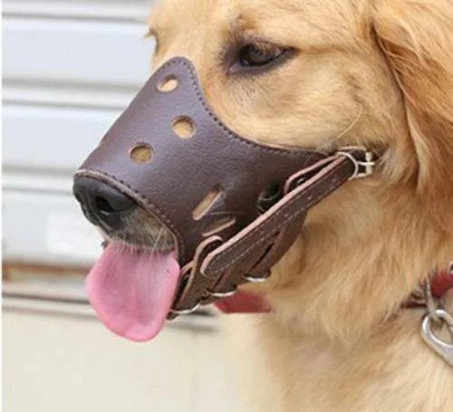 我家藏獒咬过一个七八岁的小女孩,我出钱给她打了狂犬疫苗和医疗费,所以我用链子拴了它两年多,平常?