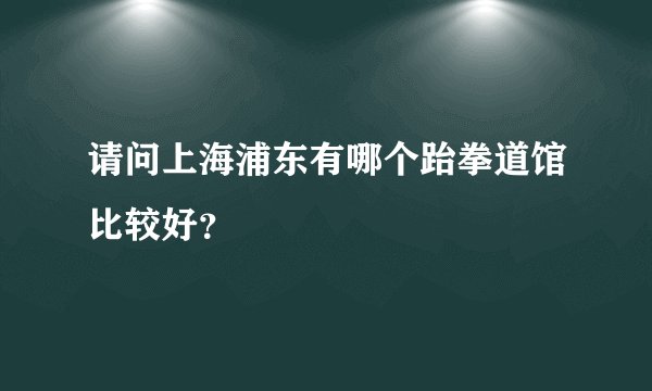 请问上海浦东有哪个跆拳道馆比较好？