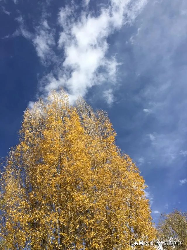 沙漠罕见8月降雪