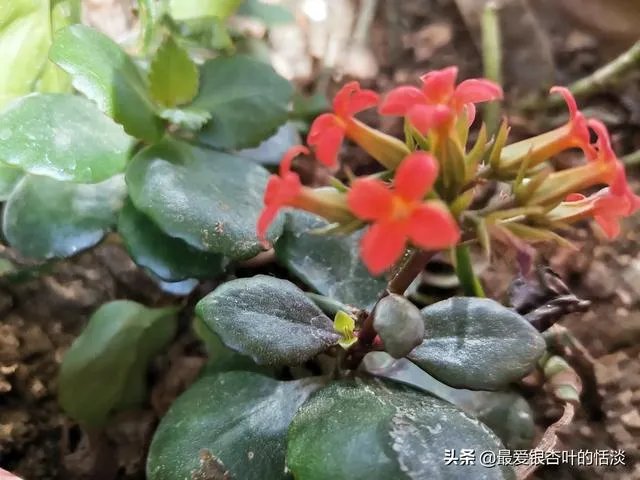 为疫情一线人员发“强制休息令”,您支持吗?