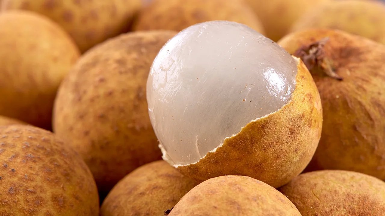 过敏性紫癜中医治疗