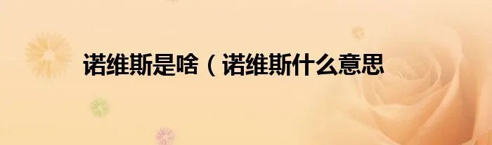 诺维斯是啥(诺维斯什么意思